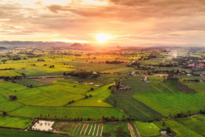 Land for Sale in Kenya