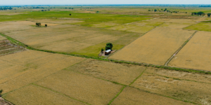 Community land act 1