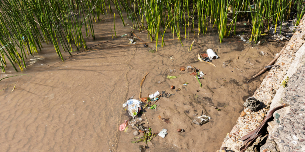 Environmental and land use law swamp area 1 1