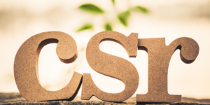 Corporate social responsibility CSR Laws in Kenya 2 1