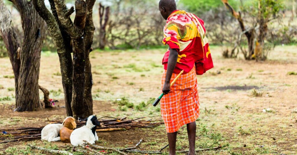 Kimalel Goat Auction with maasai 1