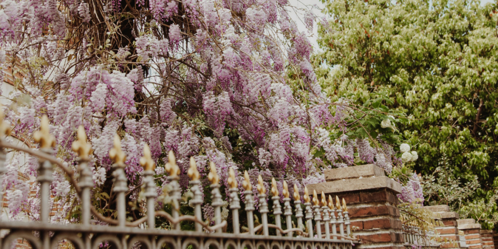 Overhanging branches and 1