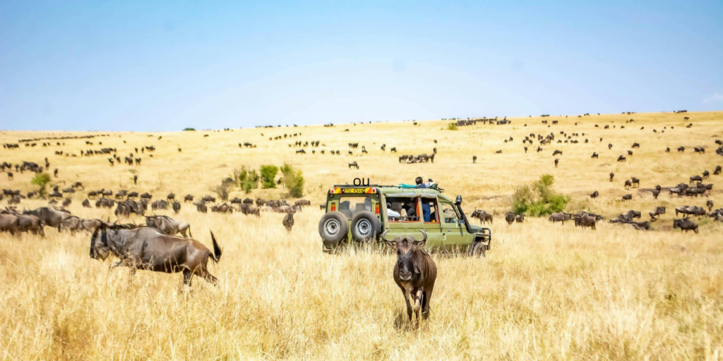 Tourism investment in Maasai Mara in Kenya