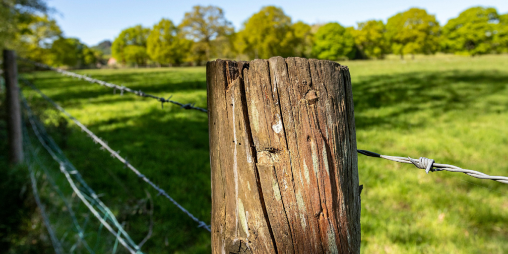 electric fence Build a Fence on Your Property Line 3