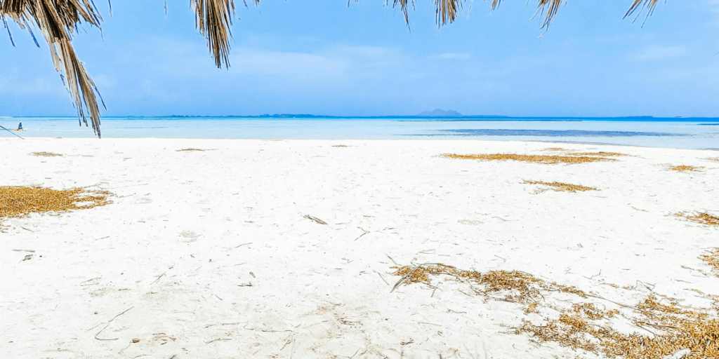 Beach property for sale in Diani Kenya 1