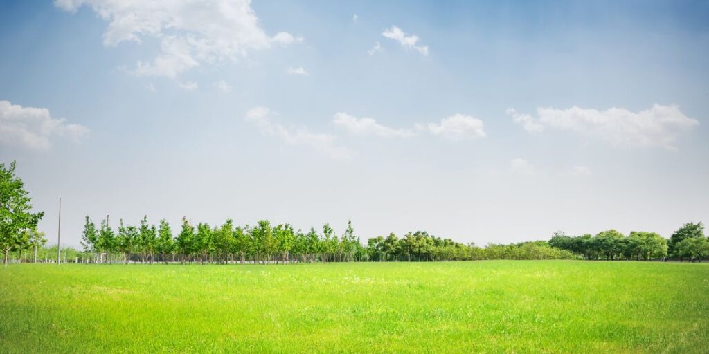 Land subdivision in Kenya 3