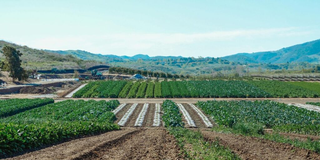 land subdivision in Kenya