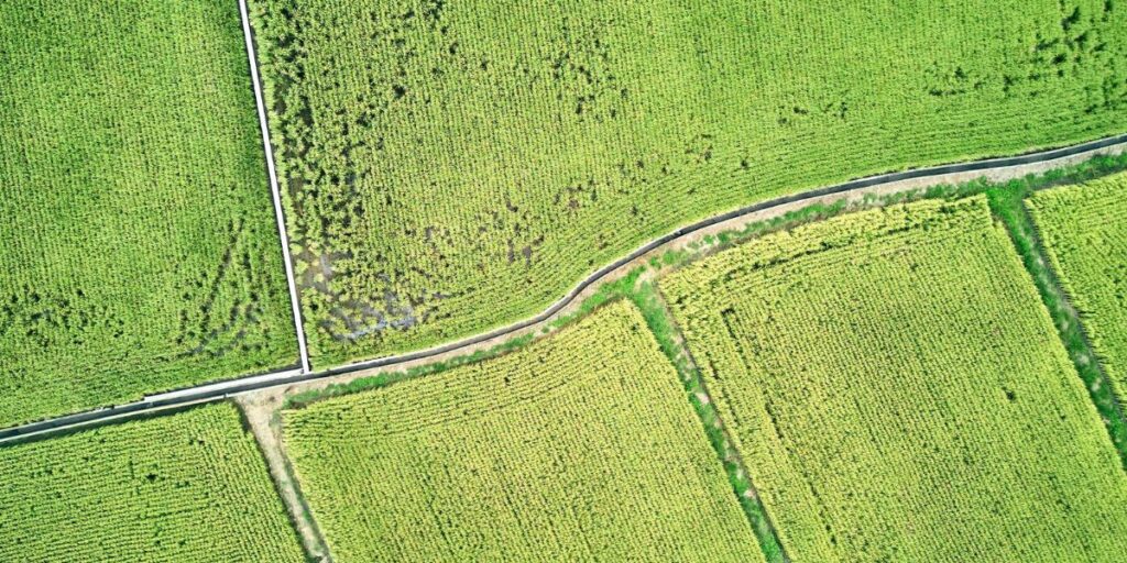 land subdivision in Kenya 2