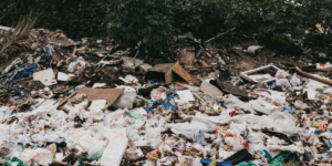 Environmental Damage 3 1