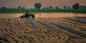 Wetland Permit Requirements 3