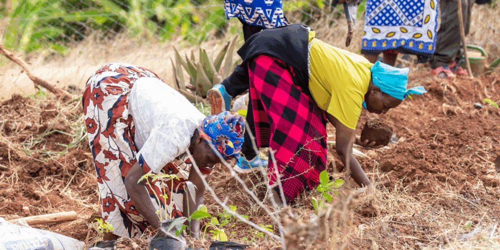 carbon credits in Kenya 2 projects