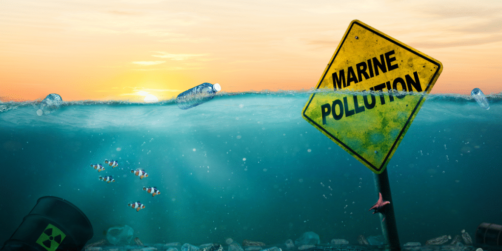 Environmental Impact Assessment marine polution