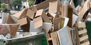 Waste Disposal in Kenya 1