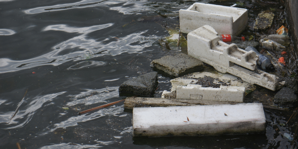 Water polution Environmental Impact Assessment