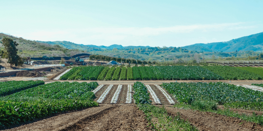 Change of use commercial farm land