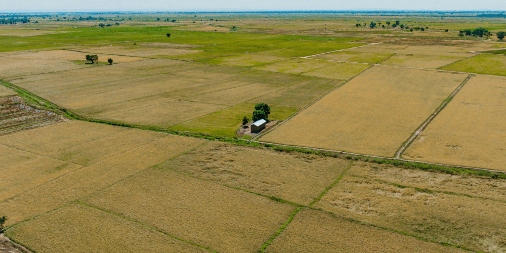 Community land act 1