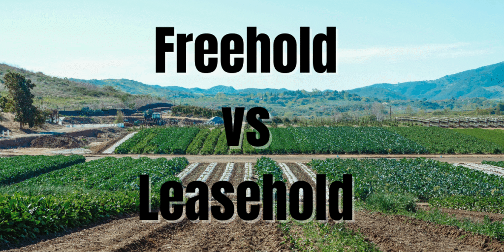 Leasehold vs freehold land for sale in Kenya