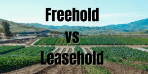 Leasehold vs freehold land for sale in Kenya