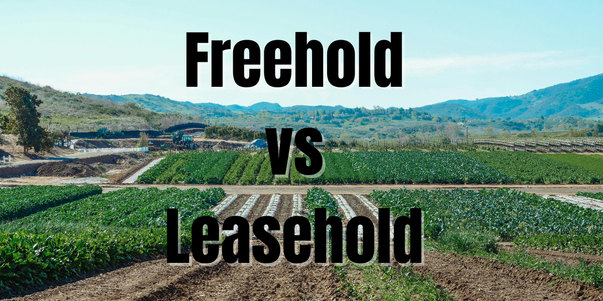 Land For Sale In Kenya: Freehold Vs. Leasehold Explained