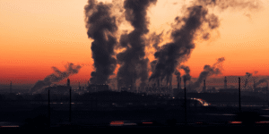 1 Carbon Credits in Kenya 4