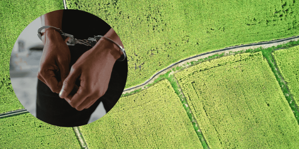 1 illegal land subdivision in Kenya