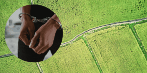 1 illegal land subdivision in Kenya