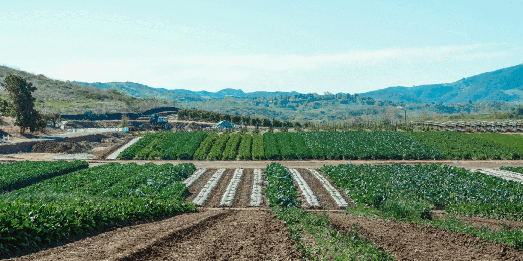 1 illegal land subdivision in Kenya 2