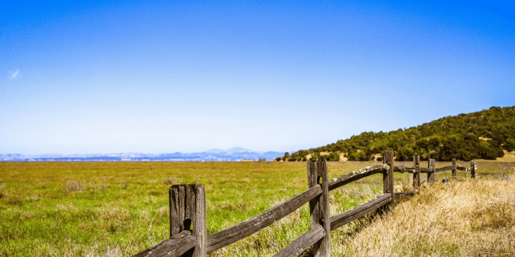 1 illegal land subdivision in Kenya 3