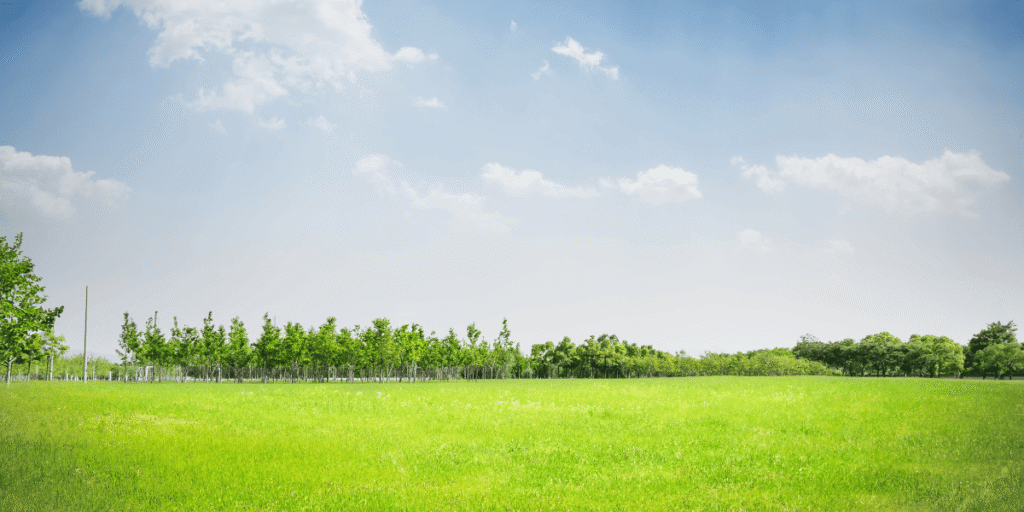 1 illegal land subdivision in Kenya 4