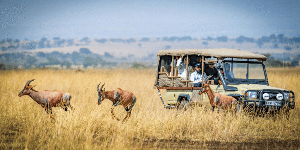 1 travel agency in Kenya 3 1