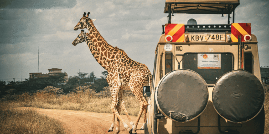 1 travel agency in Kenya 4