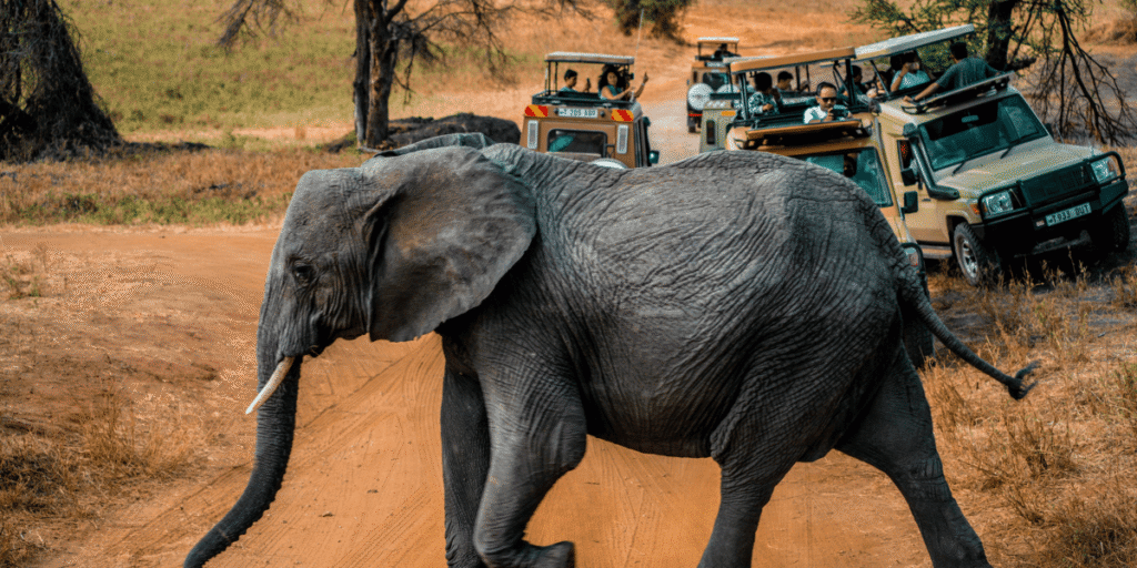 travel agency in Kenya 6 1
